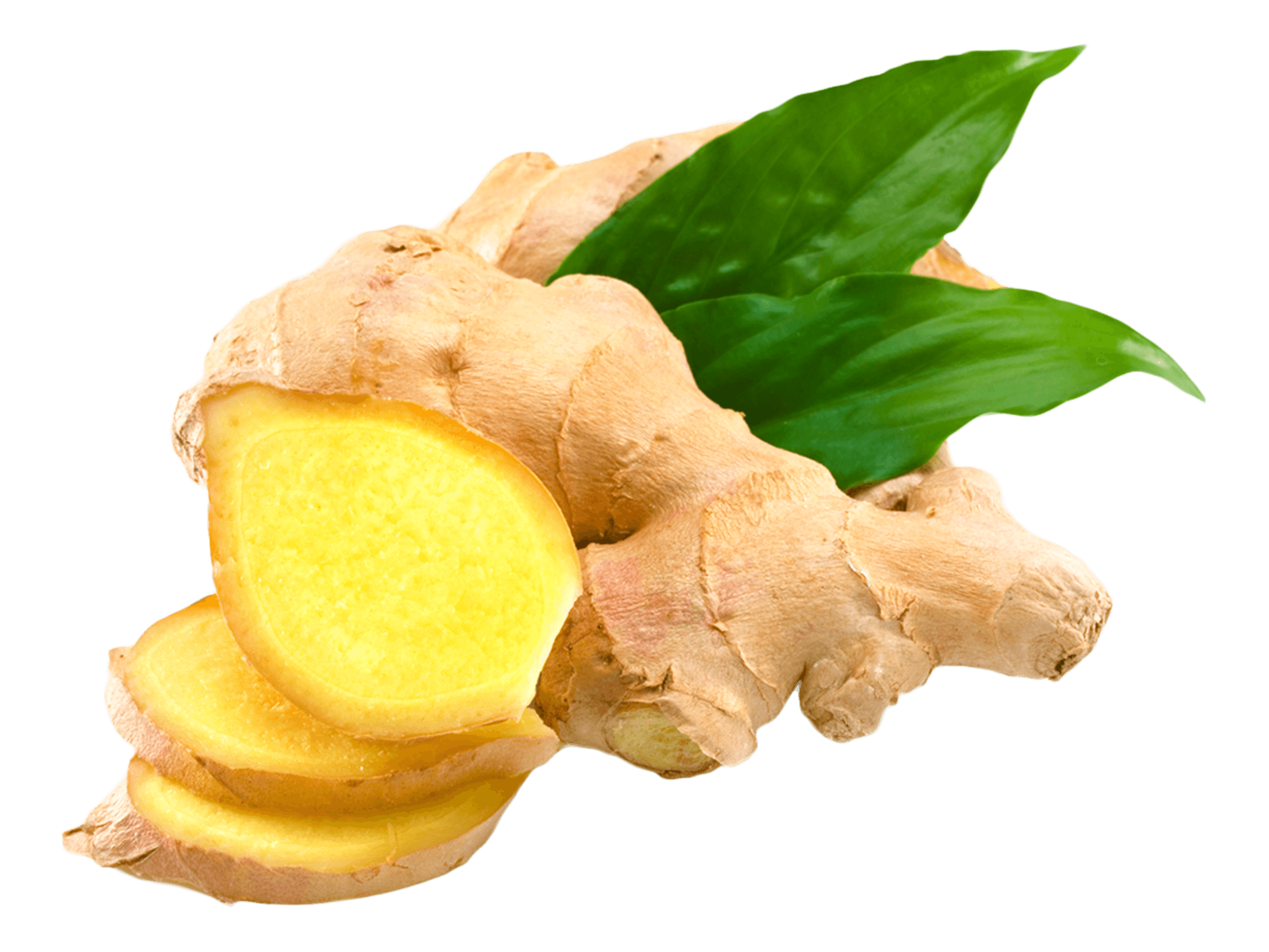 Ginger