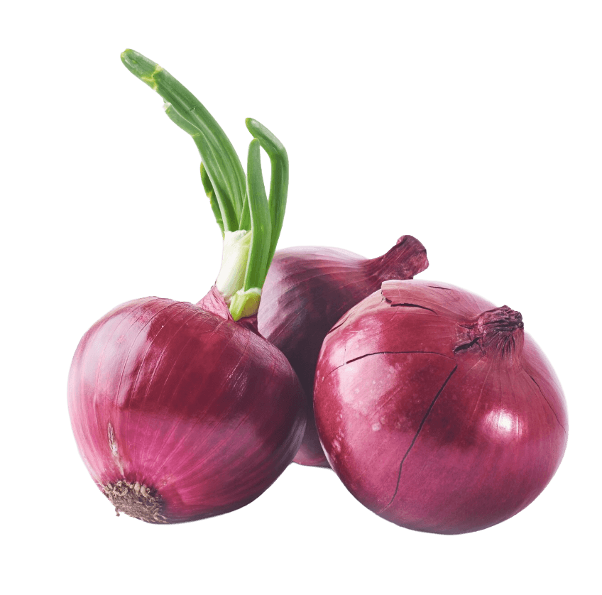 Onion